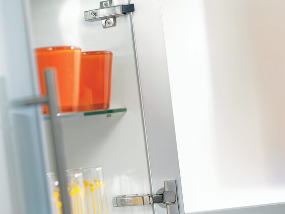 BLUMOTION на держателе